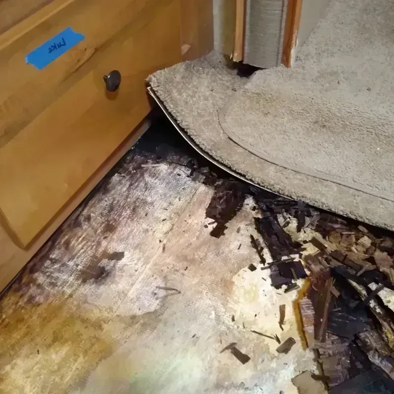 Wood Floor Water Damage in Englewood, NJ